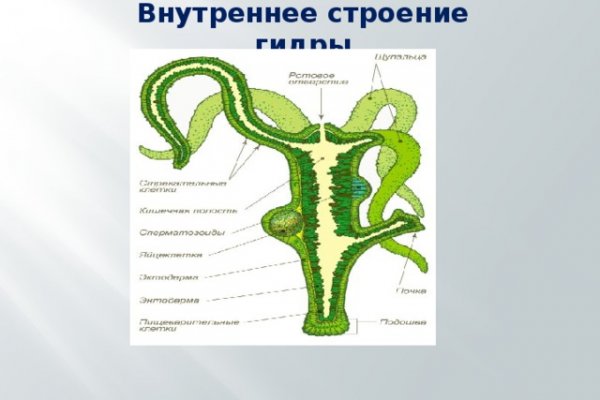 Kraken пользователь не найден при входе