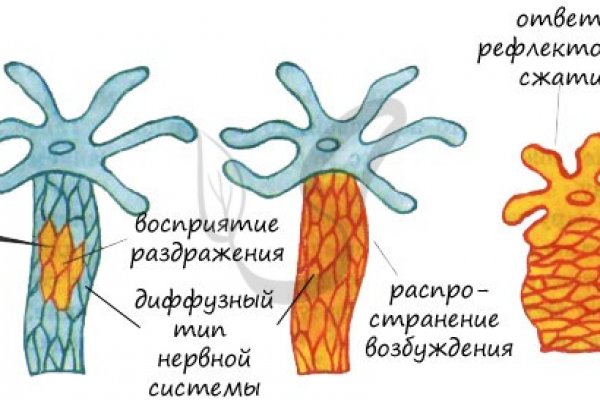 Кракен даркнет купить